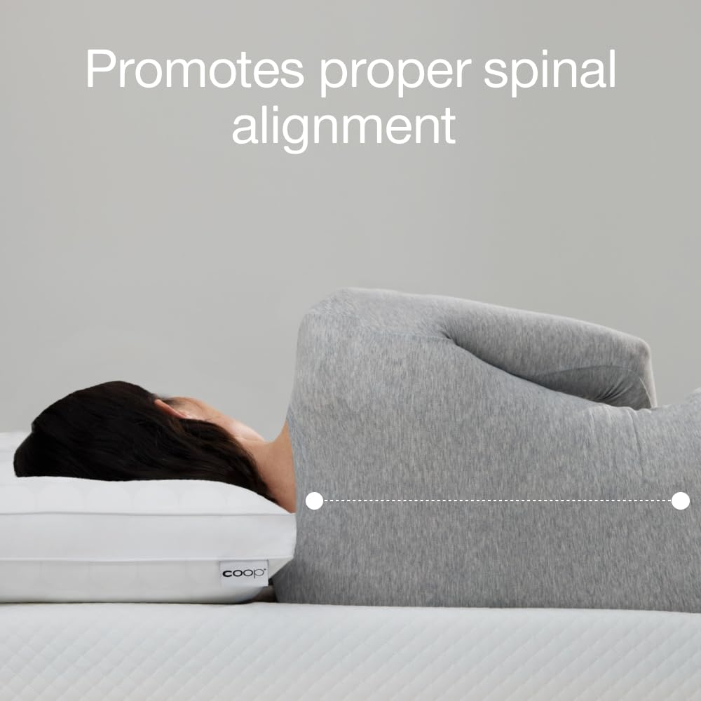 Queen Size Cooling Down Alternative Pillows Set of 2 A333