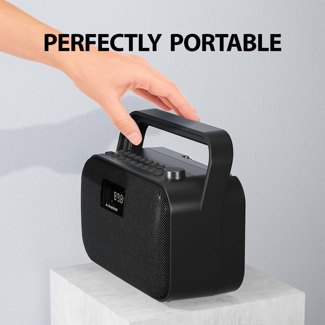 Portable FM Radio with 30W Stereo Bluetooth Speaker B50906
