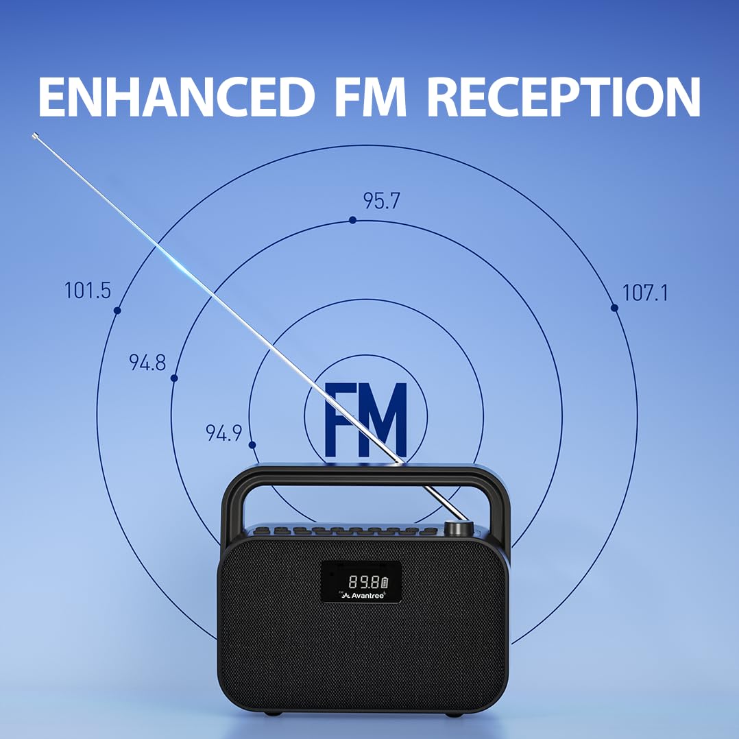 Portable FM Radio with 30W Stereo Bluetooth Speaker B50906