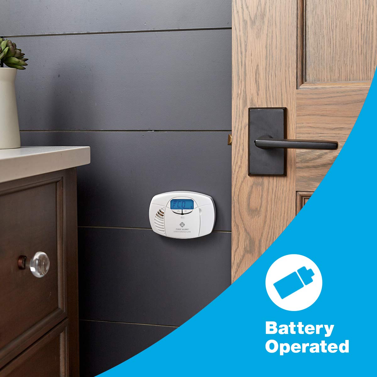 Battery Carbon Monoxide Alarm with Digital Display M800440