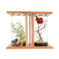 Bamboo Desktop Aquarium with LED Light D349