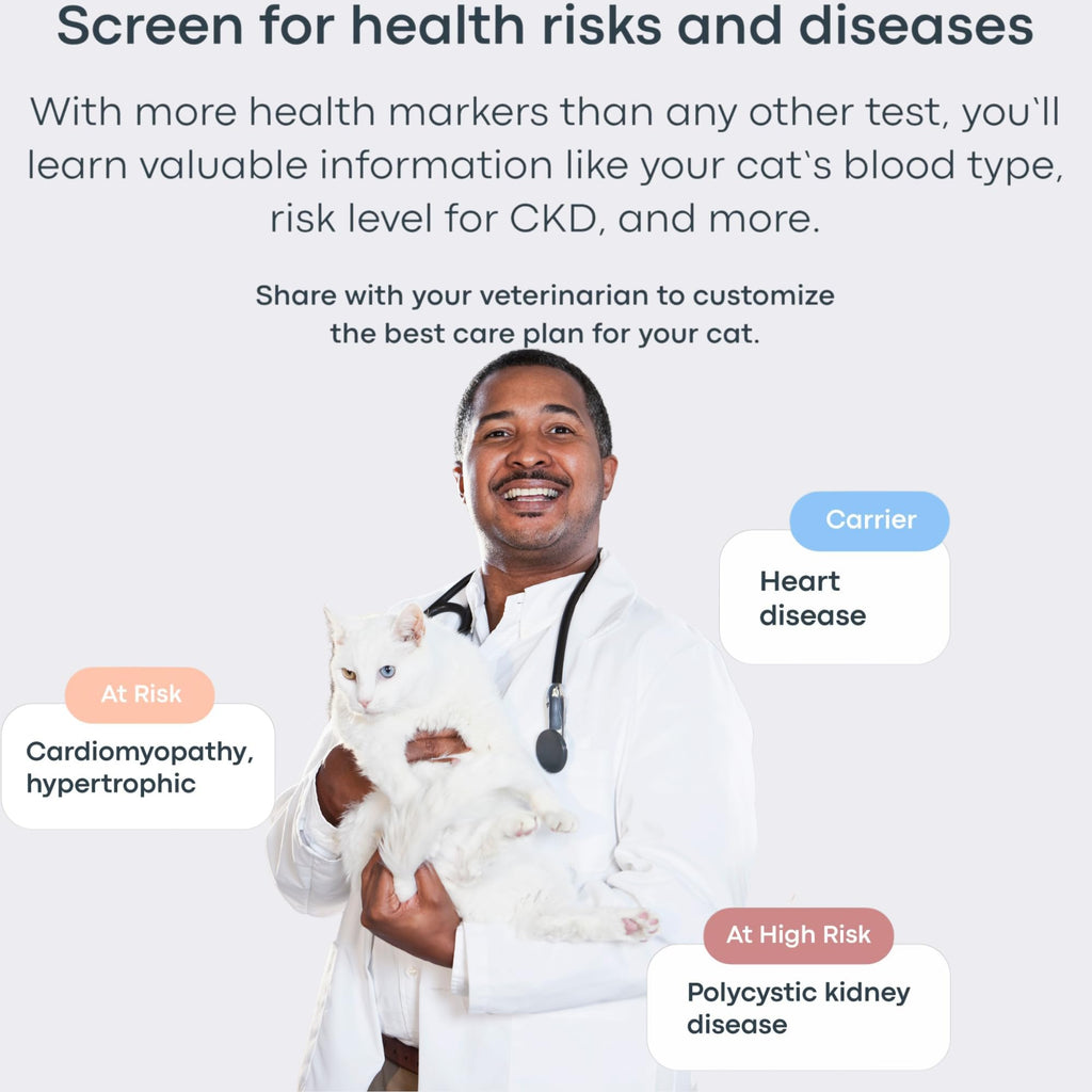Cat DNA Test Kit M53500