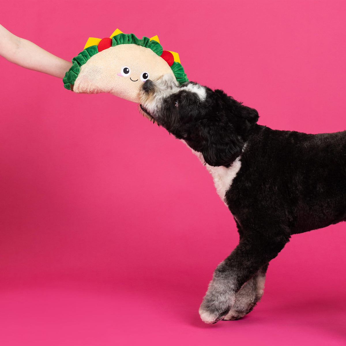 Large Plush Dog Toy X4517