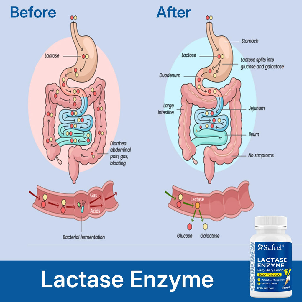 Unflavored Lactase Enzyme Tablets 180 Ct S302907