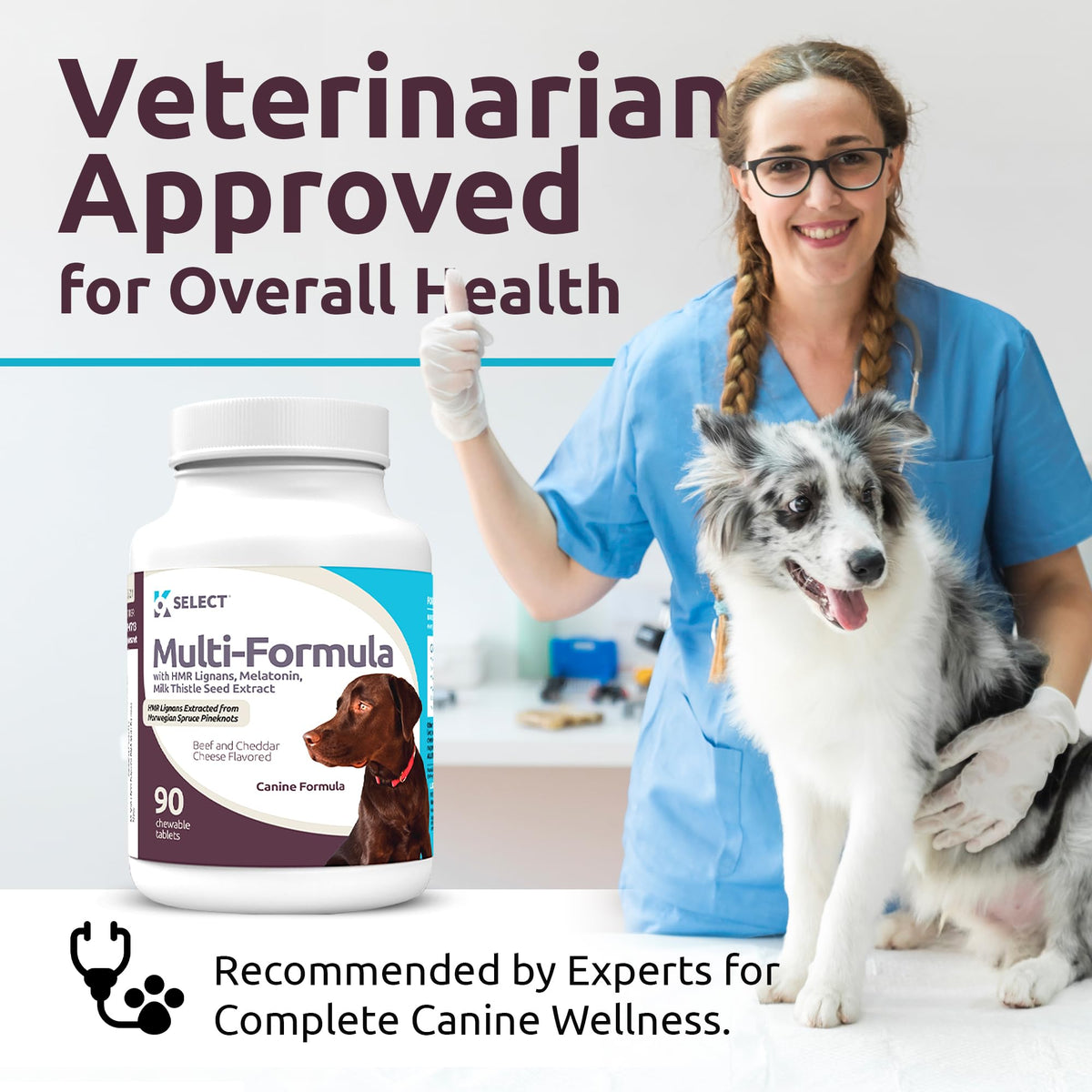 90 Tablets Beef Flavor Dog Multivitamin A468