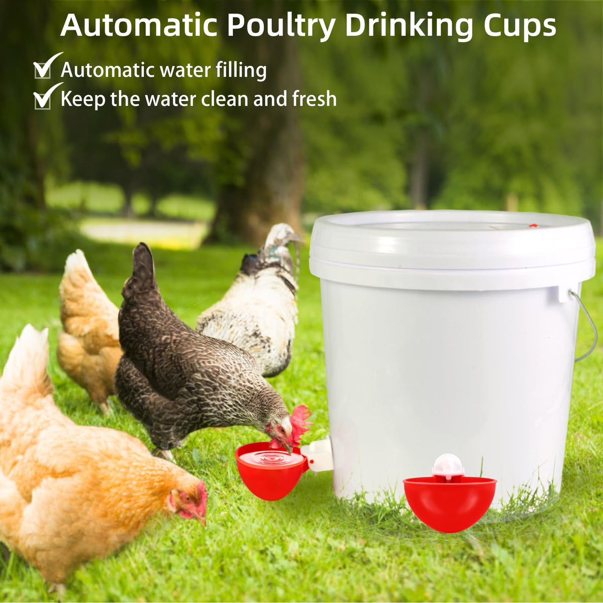Chicken Waterer Cups H777