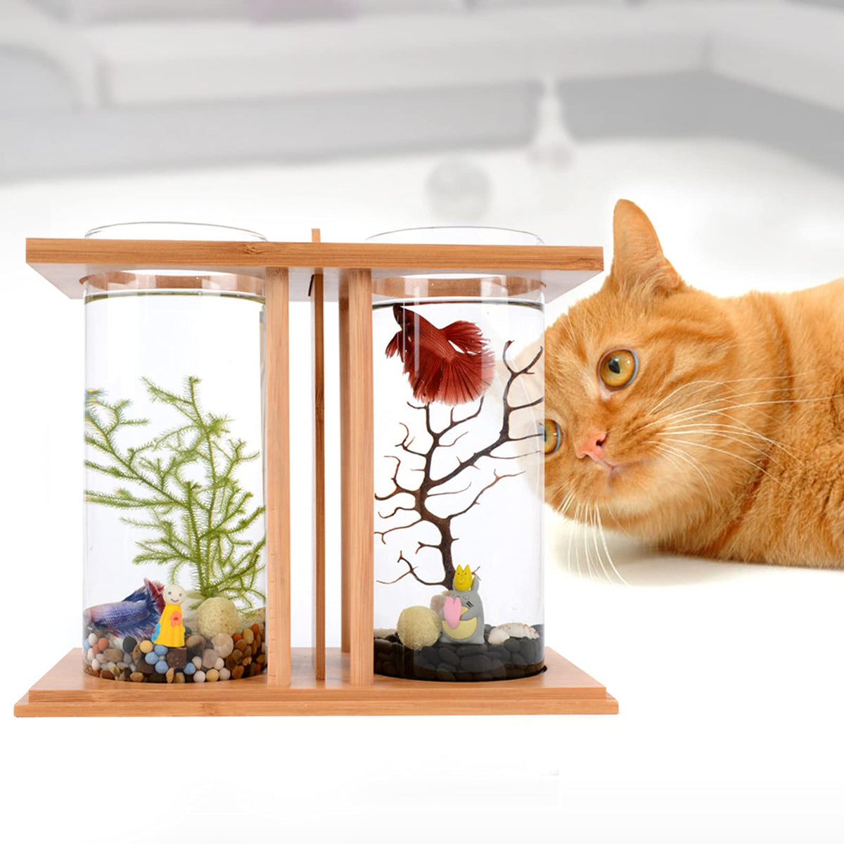 Bamboo Desktop Aquarium with LED Light D349