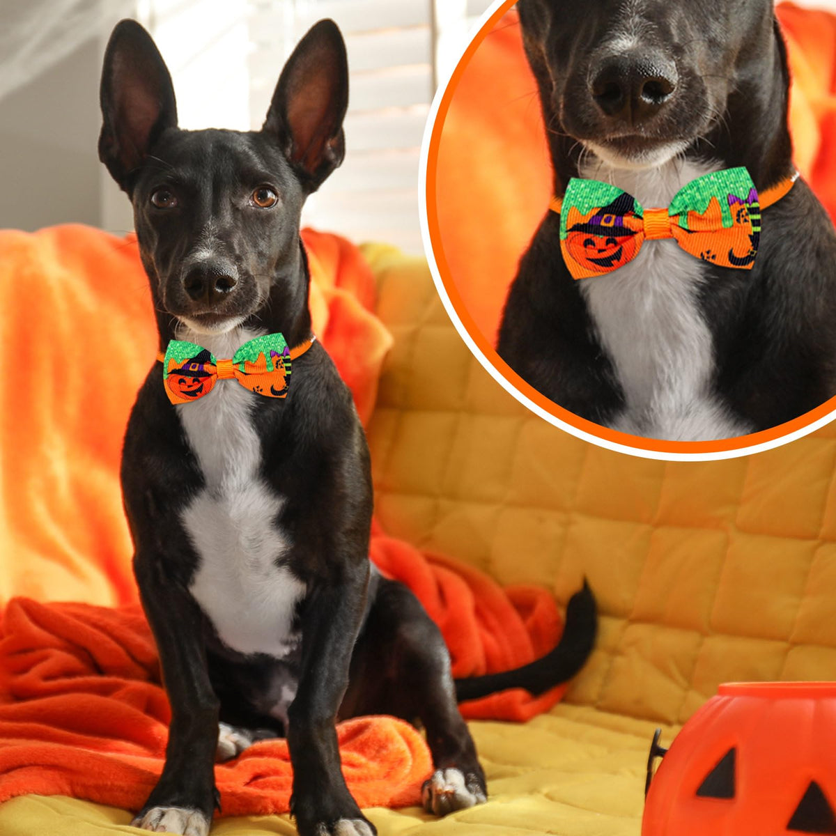 120 Pcs Halloween Dog Bow Ties M576