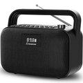 Portable FM Radio with 30W Stereo Bluetooth Speaker B50906