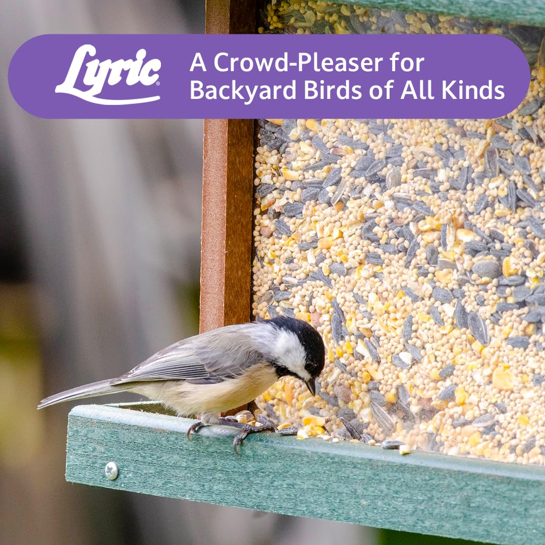 Wild Bird Seed Mix 20 lb Bag E497