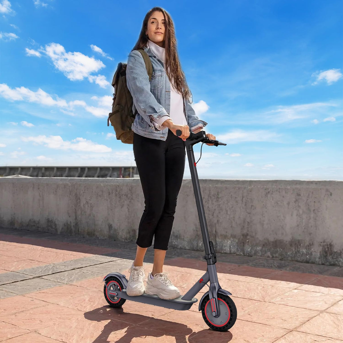 Electric Scooter 350W/500W Motor 8.5'' Solid Tire W192