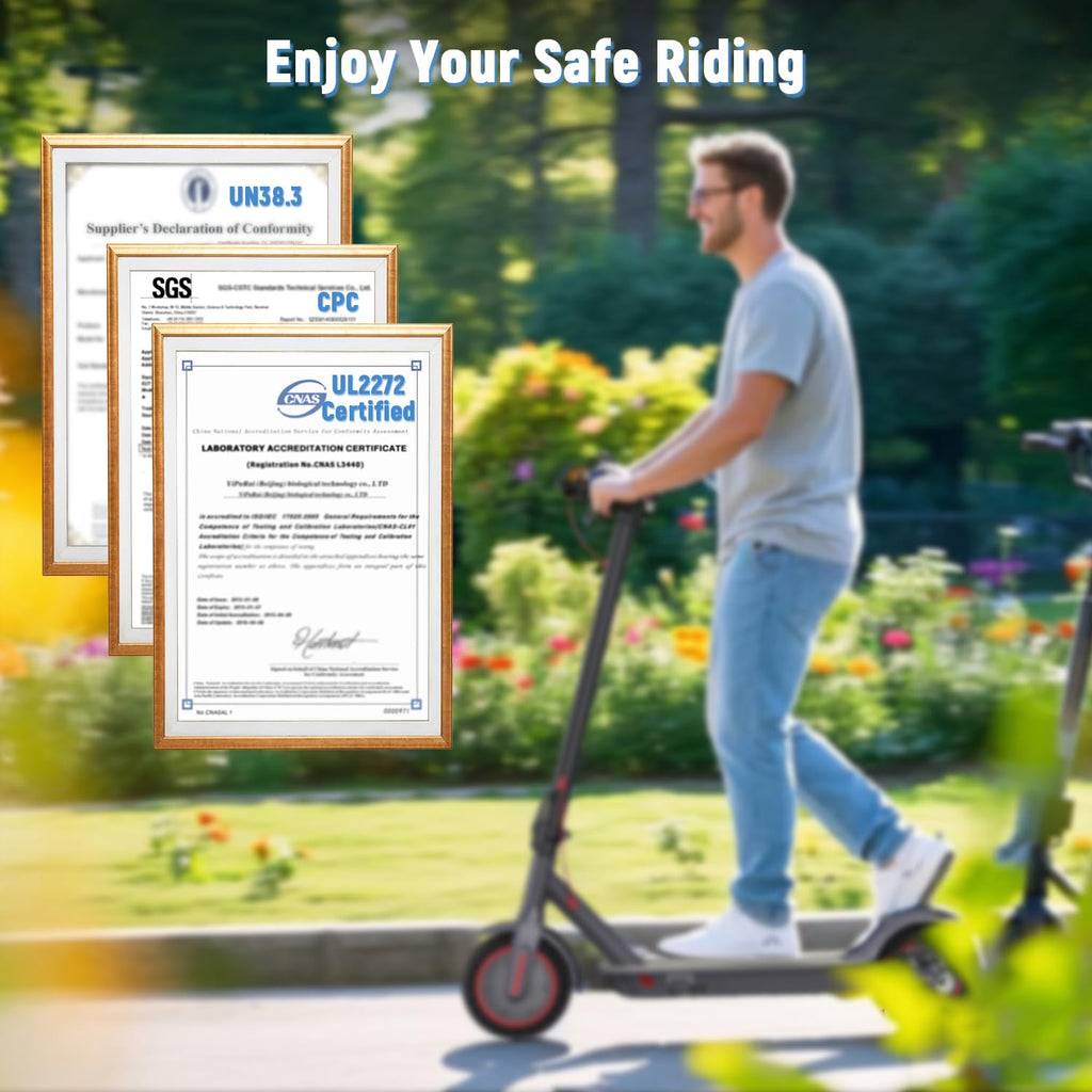 Electric Scooter 350W/500W Motor 8.5'' Solid Tire W192