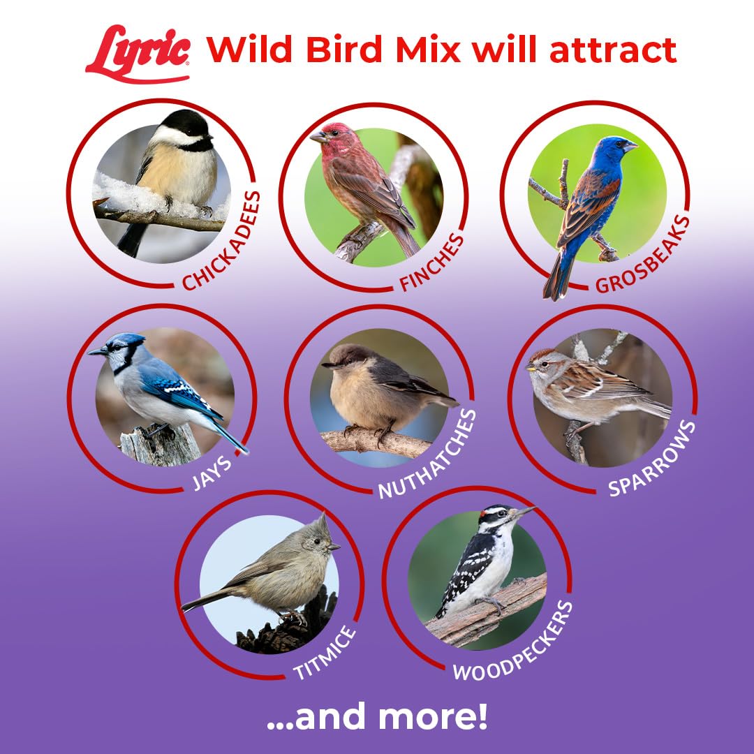 Wild Bird Seed Mix 20 lb Bag E497