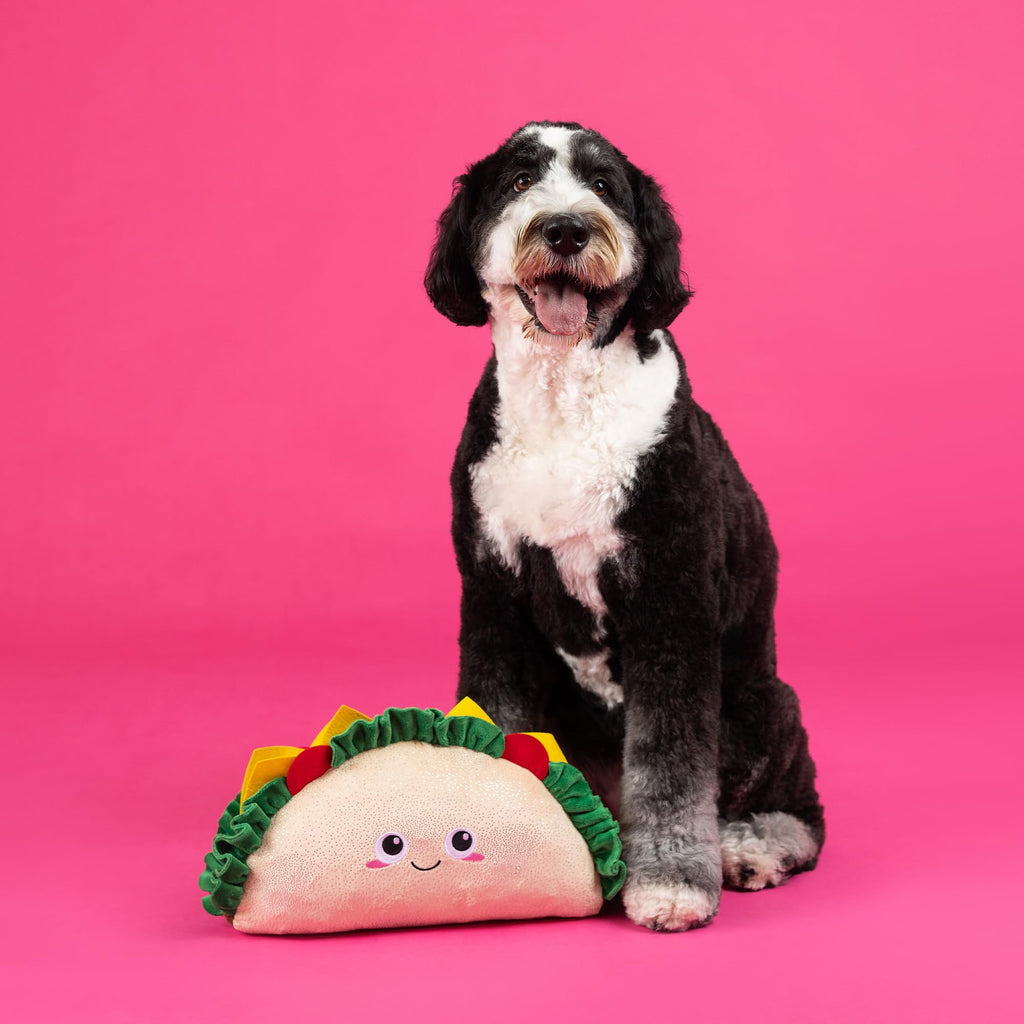 Large Plush Dog Toy X4517