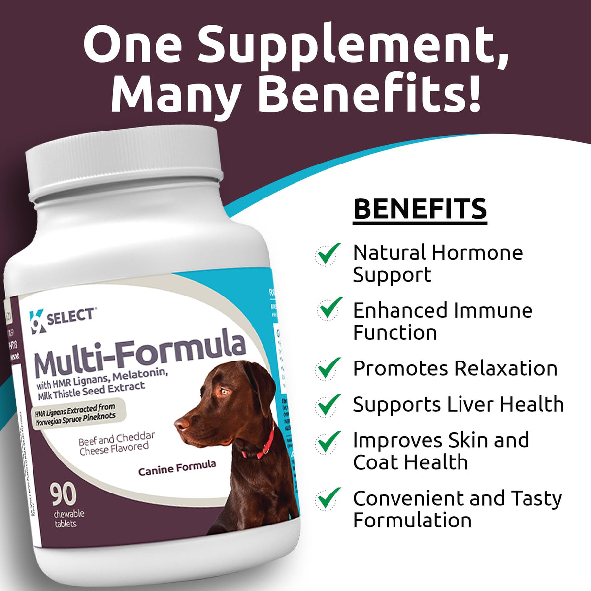 90 Tablets Beef Flavor Dog Multivitamin A468