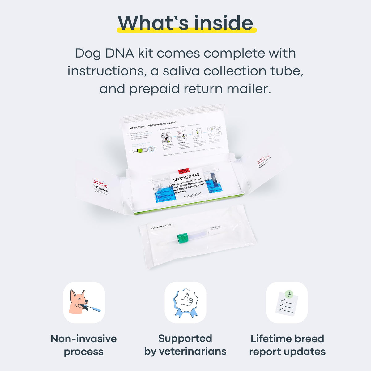 Cat DNA Test Kit M53500
