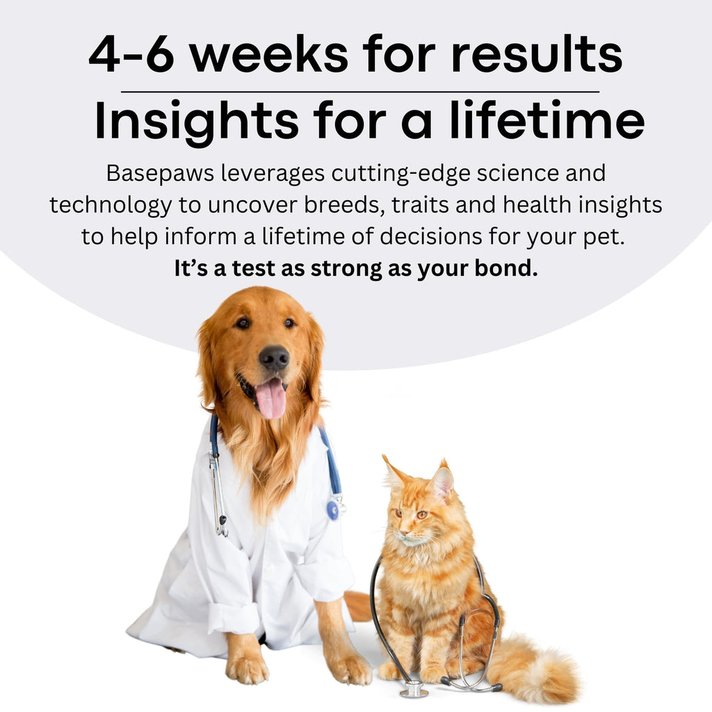 Cat DNA Test Kit M53500