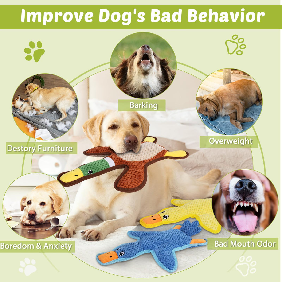 3-Pack No-Stuffing Squeaky Crinkle Dog Chew Toy F461