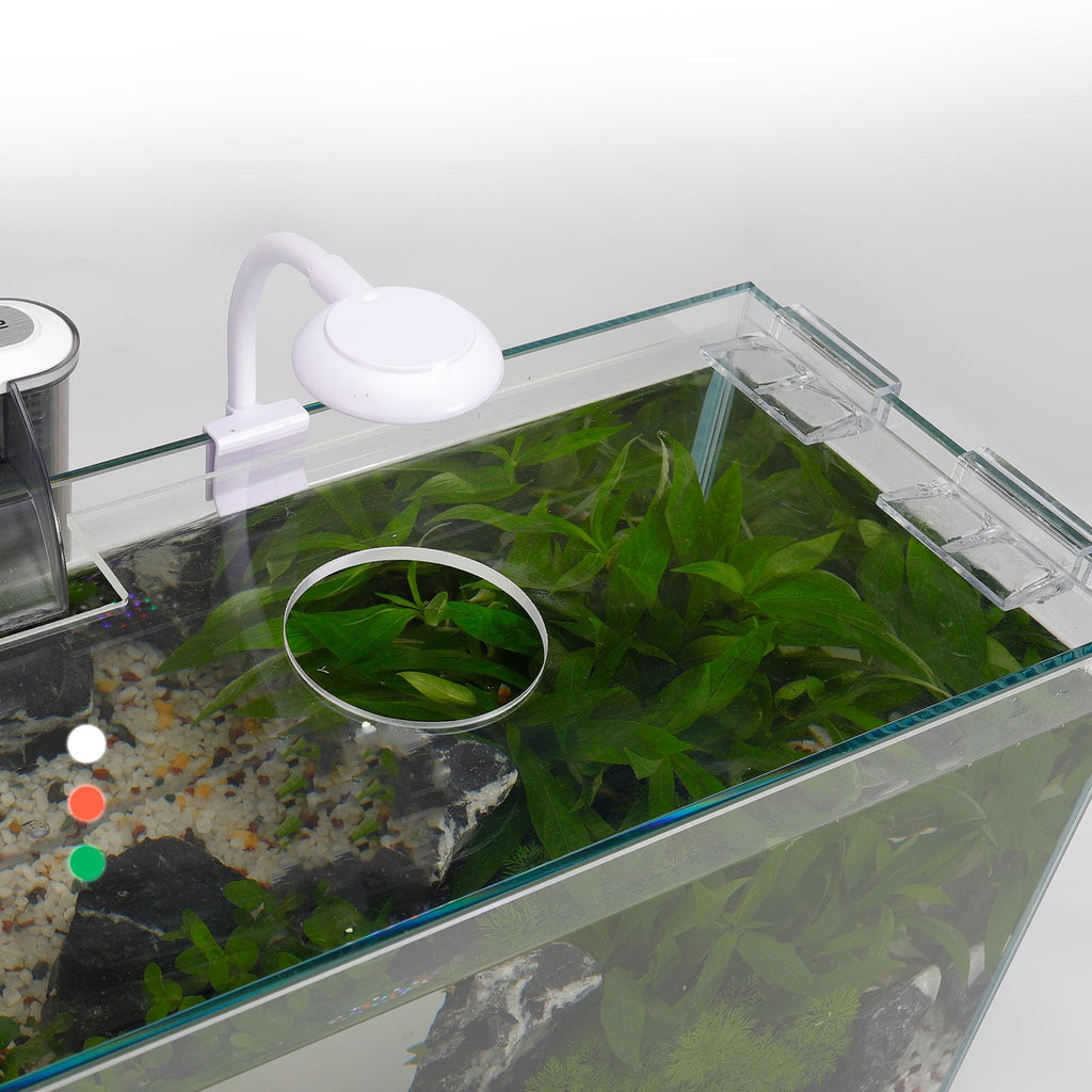 3 Gallon Glass Fish Tank Starter Kit with Filter J81710