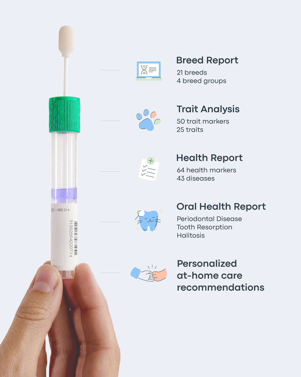 Cat DNA Test Kit M53500