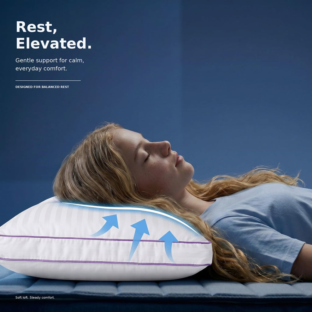 King Size Down Alternative Pillows Set of 2 O10575