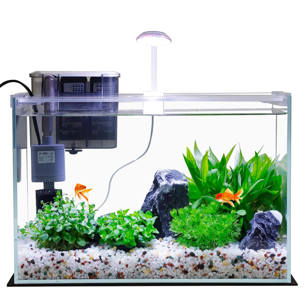 3 Gallon Glass Fish Tank Starter Kit with Filter J81710