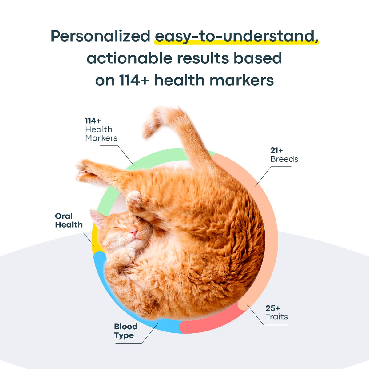 Cat DNA Test Kit M53500