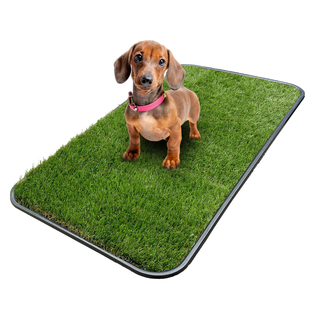 Artificial Grass Puppy Potty Training Pad with Tray 15" x 30" E44428