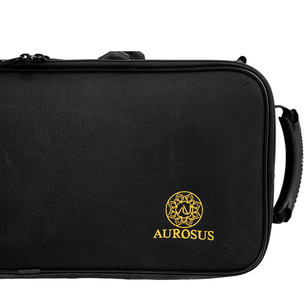Lightweight BB Trumpet Hard Case with Backpack Straps V160833