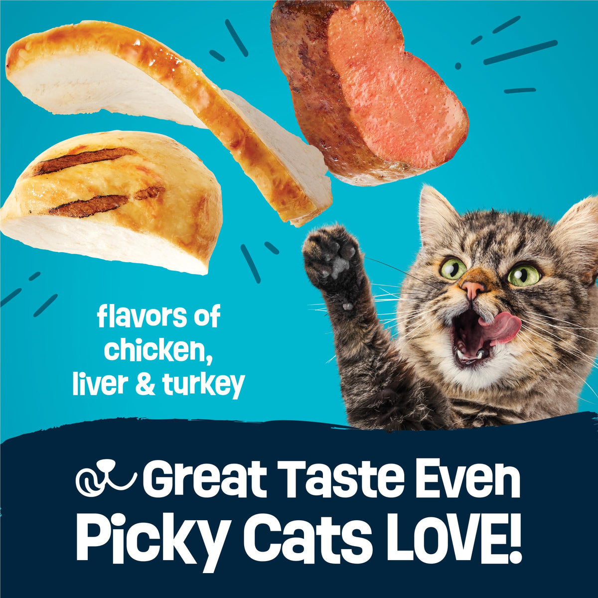 Crunchy Dry Cat Food 3 lb Bag T7586