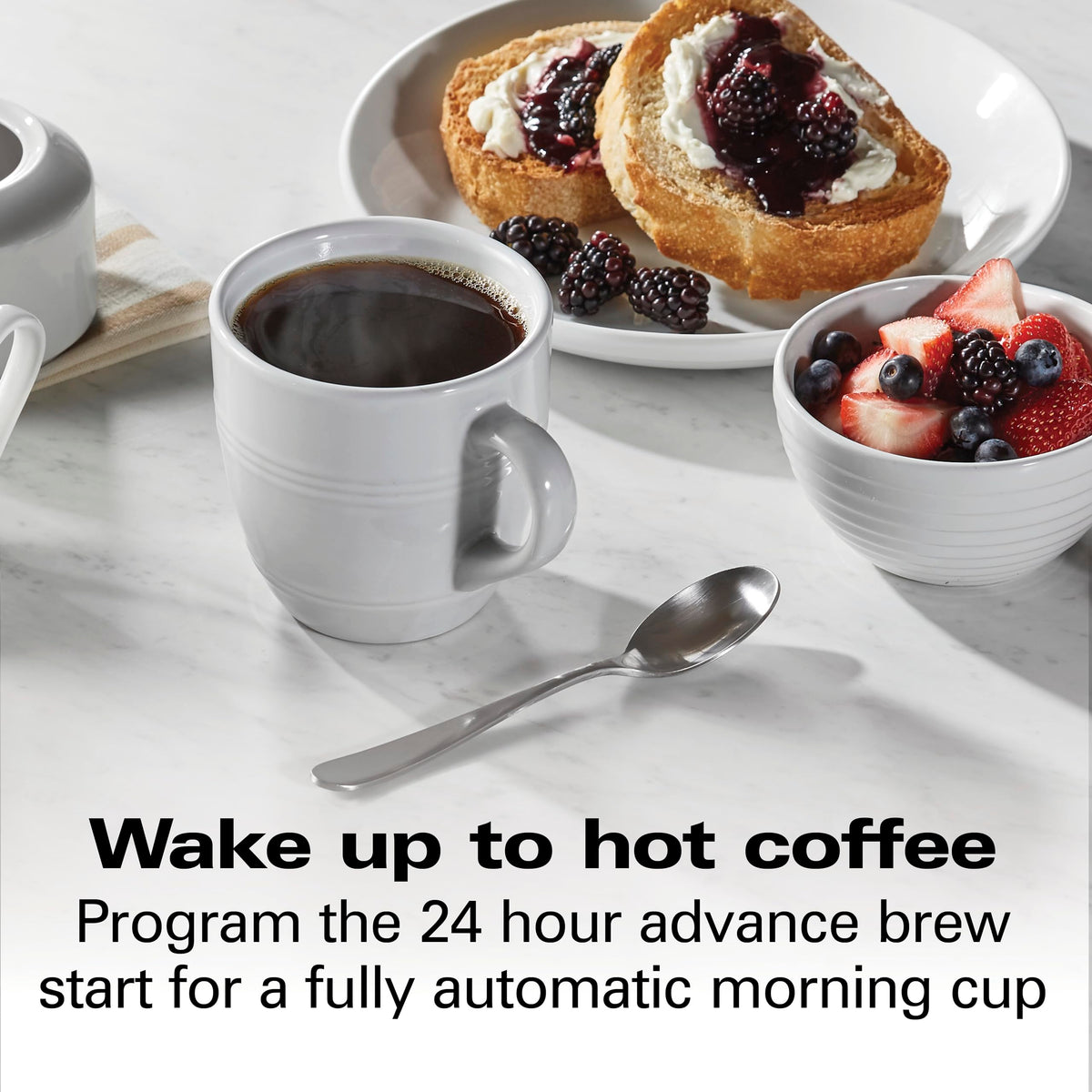 12 Cup Programmable Drip Coffee Maker L5429