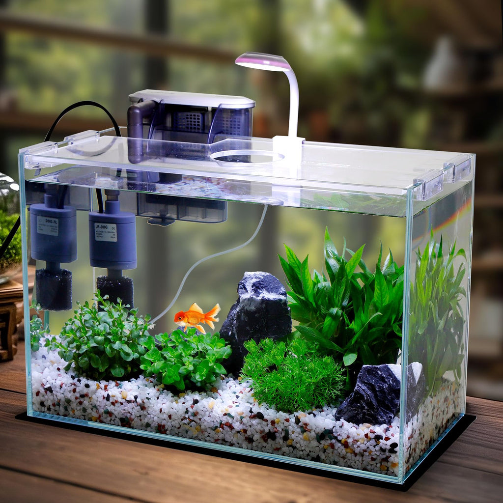3 Gallon Glass Fish Tank Starter Kit with Filter J81710