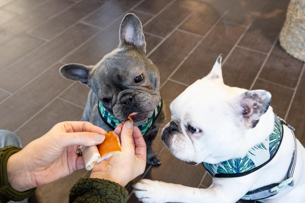 Pill Wrapper for Dogs & Cats, 30 Count Z12154