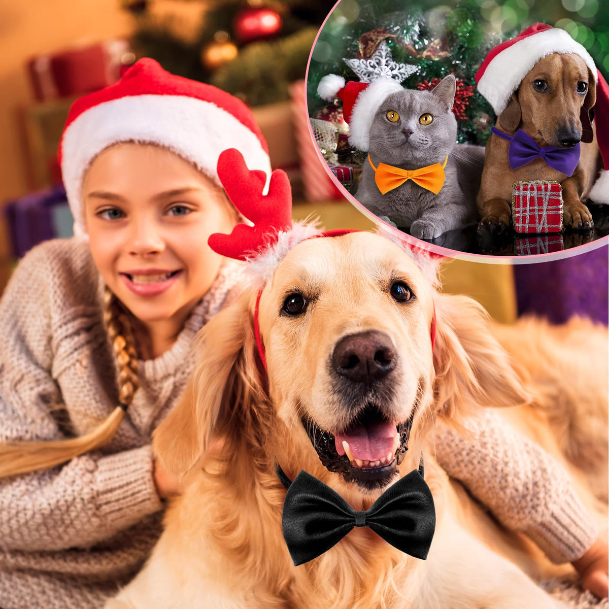 240 Pcs Dog Bow Ties with Adjustable Collar P160230