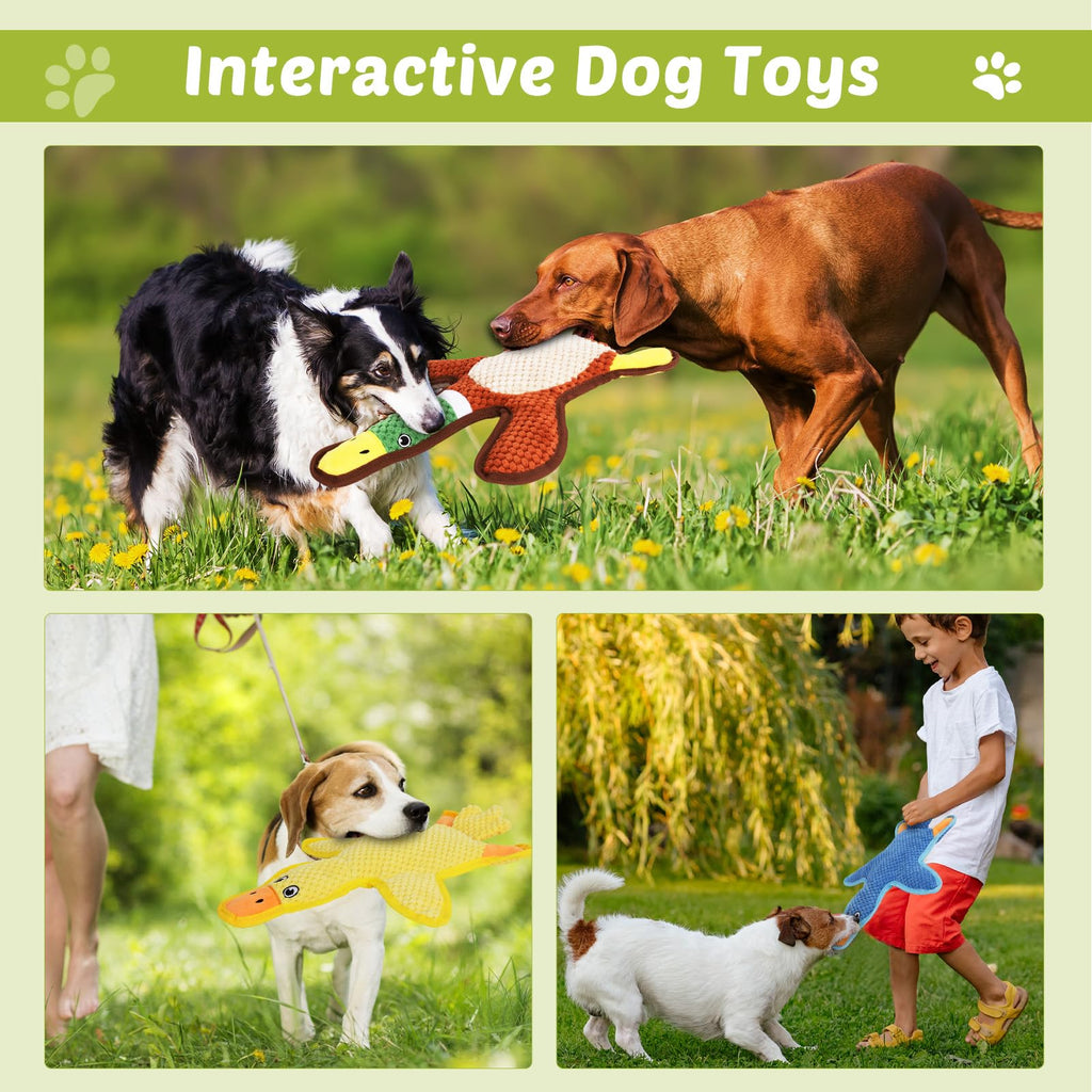 3-Pack No-Stuffing Squeaky Crinkle Dog Chew Toy F461