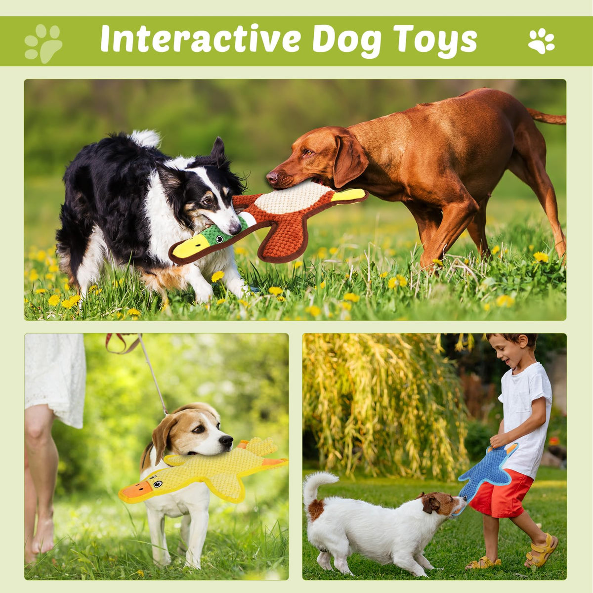 3-Pack No-Stuffing Squeaky Crinkle Dog Chew Toy F461