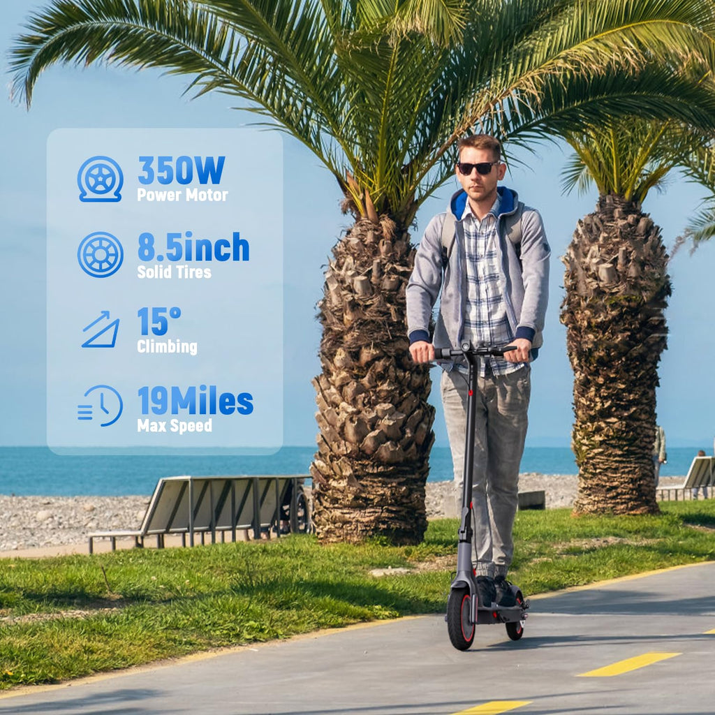 Electric Scooter 350W/500W Motor 8.5'' Solid Tire W192