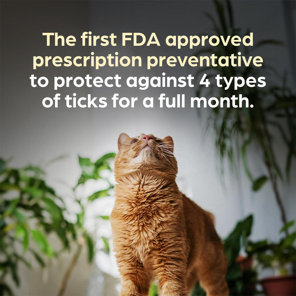 Topical Solution for Cats 5.6-11 lbs 1-Month Supply C1240