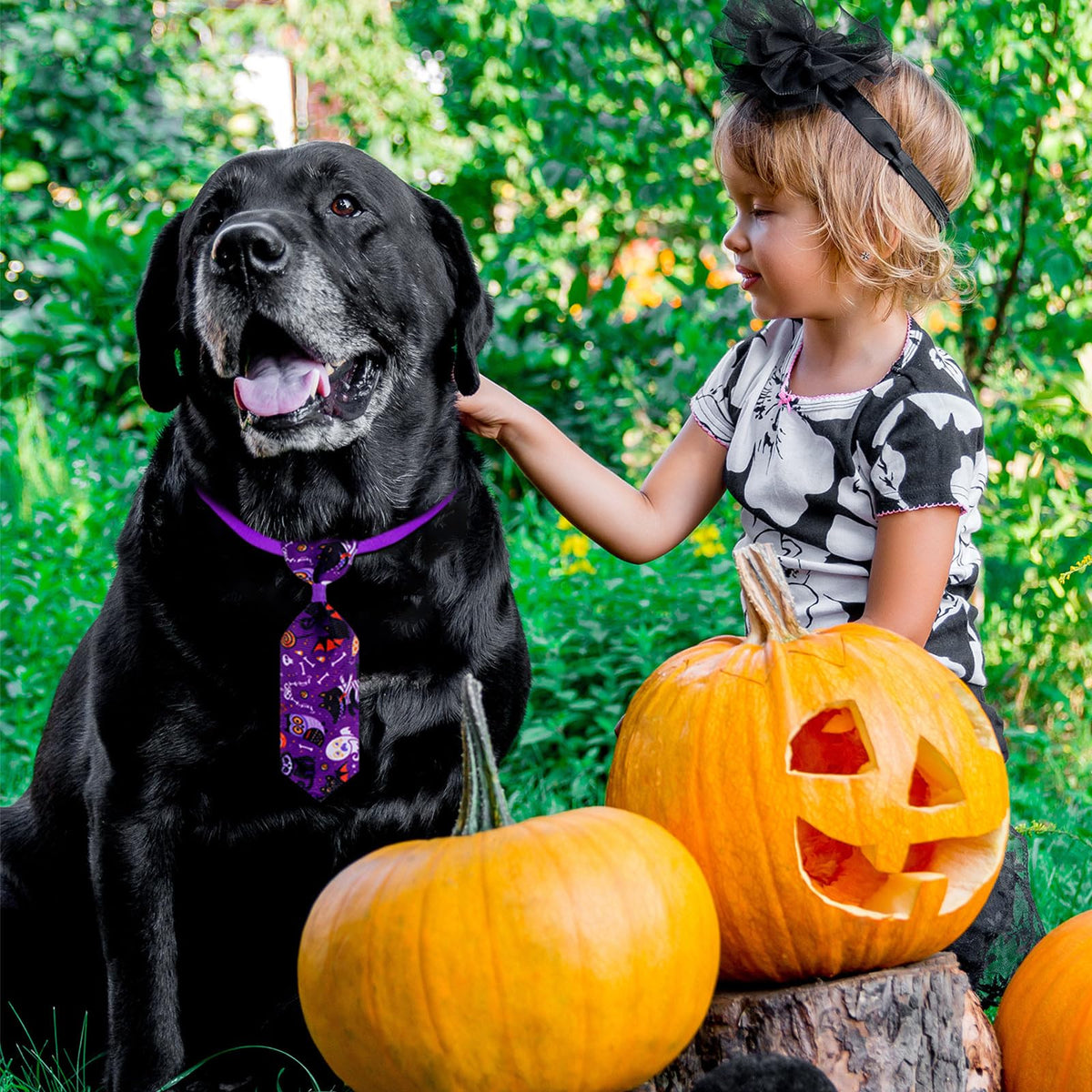 120 Pcs Halloween Dog Bow Ties M576