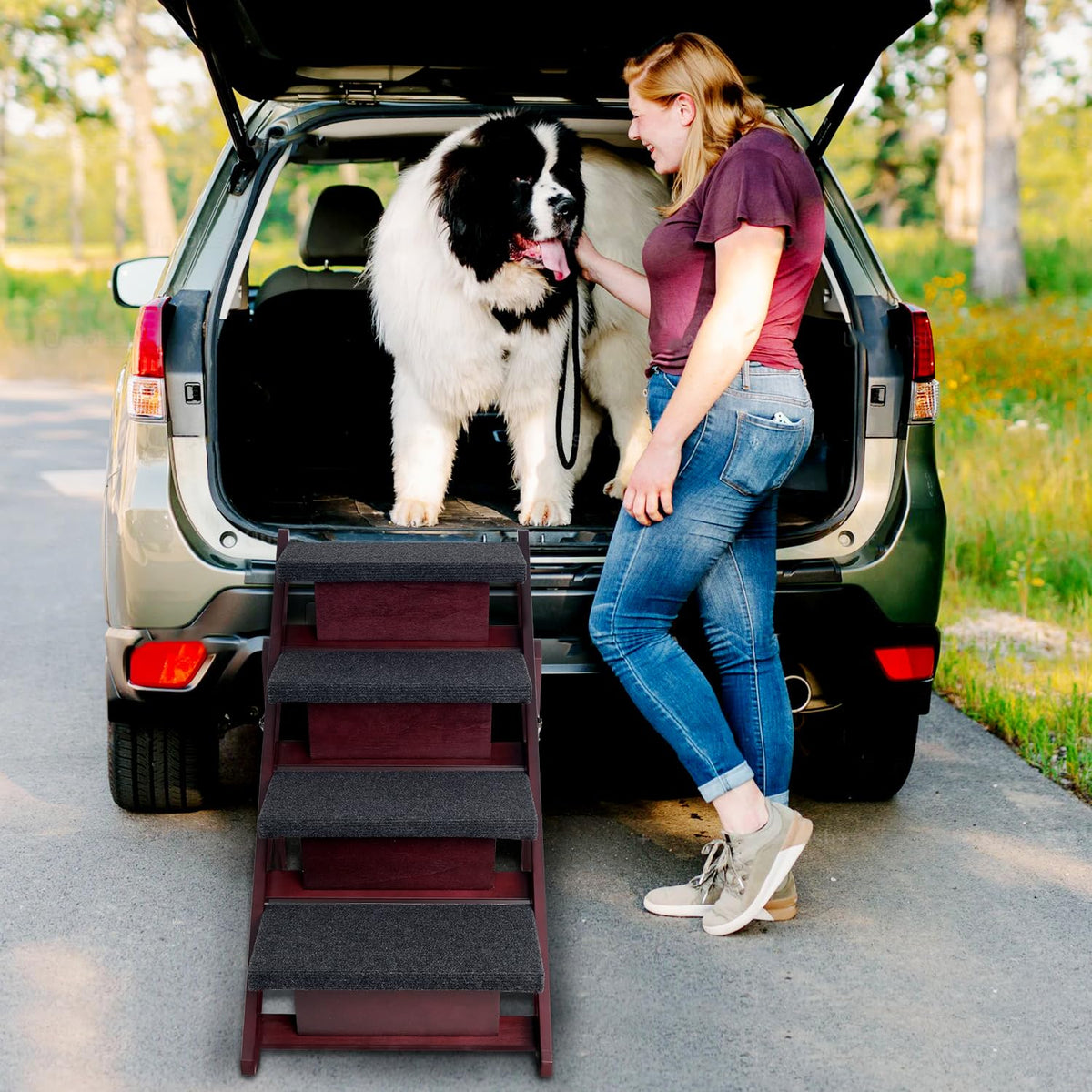 Foldable 4 Steps Wooden Dog Stairs G654