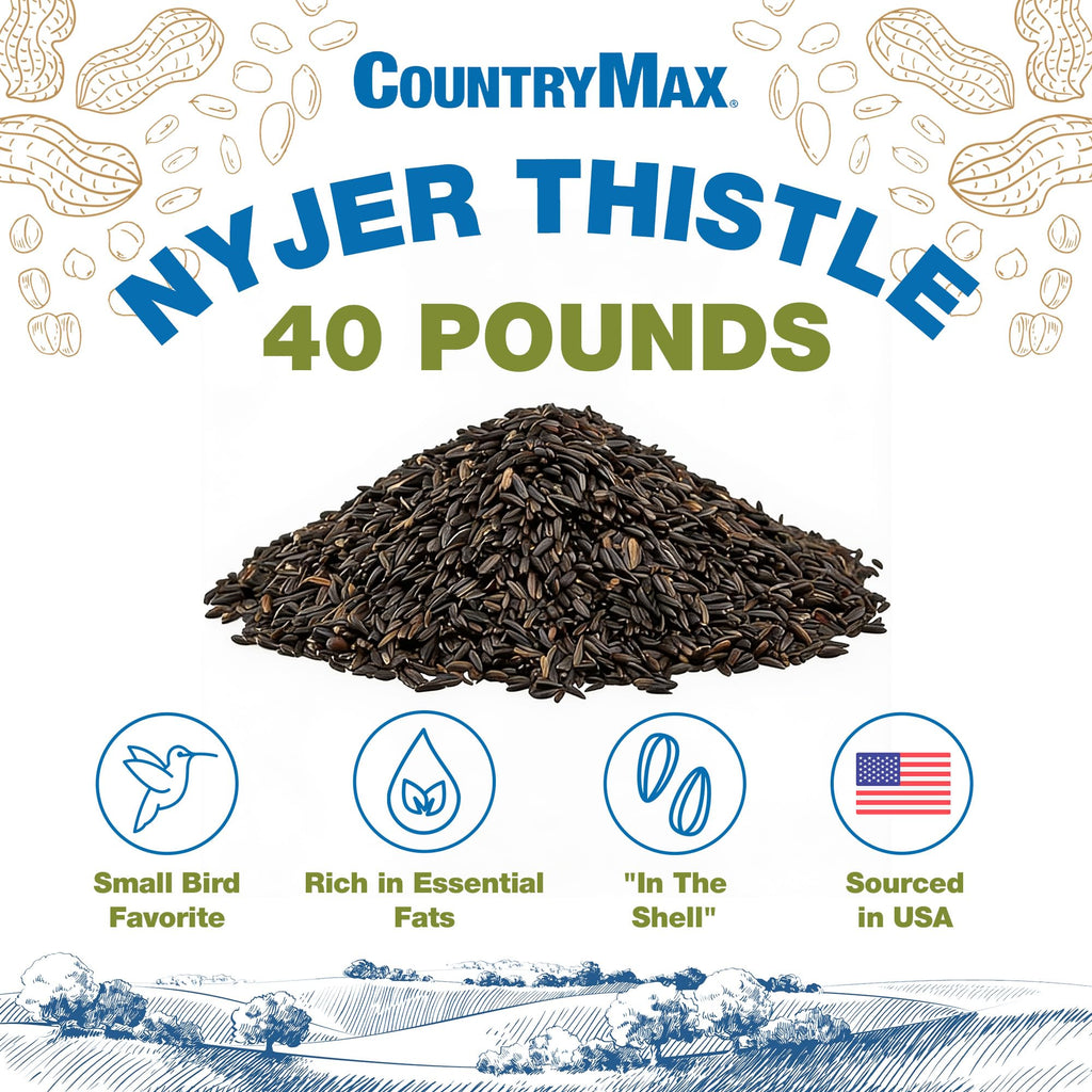 Thistle Wild Bird Seed B4918