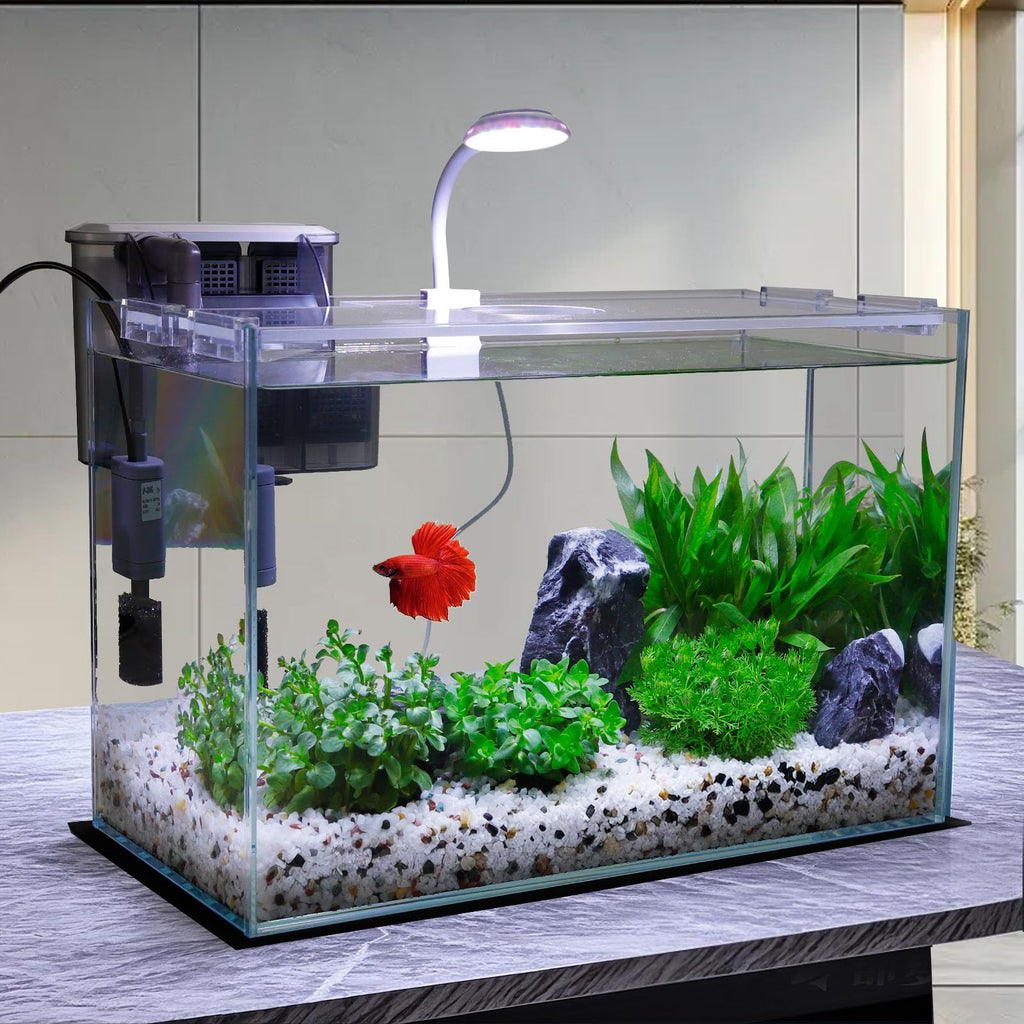 3 Gallon Glass Fish Tank Starter Kit with Filter J81710