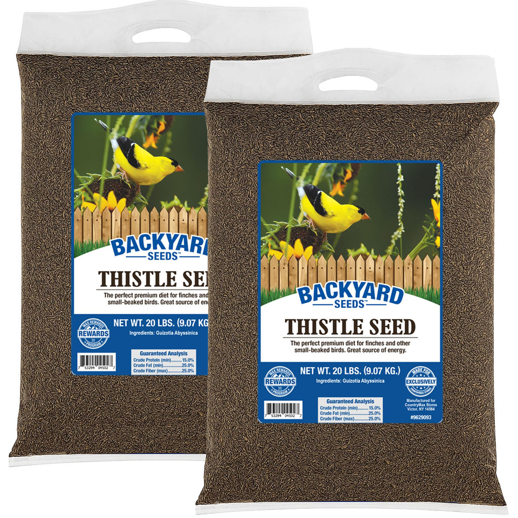 Thistle Wild Bird Seed B4918